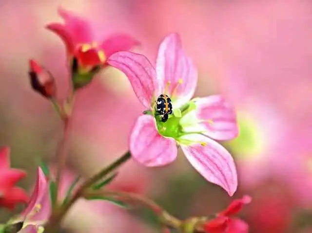 4mm하이스핀002.webp