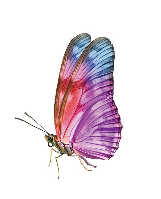 건강검진미실시006.jpg