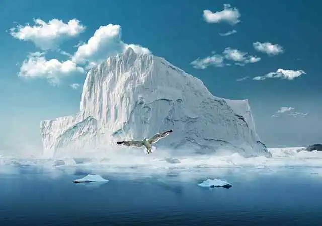 눈보호008.webp