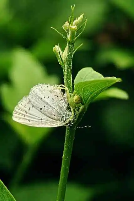 STEM교육004.webp