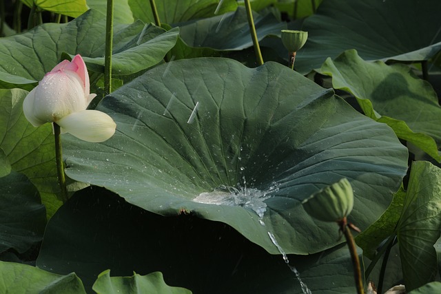 골수종005.jpg