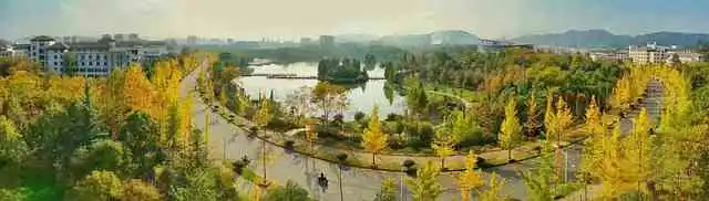 샤오미펫킷락005.webp