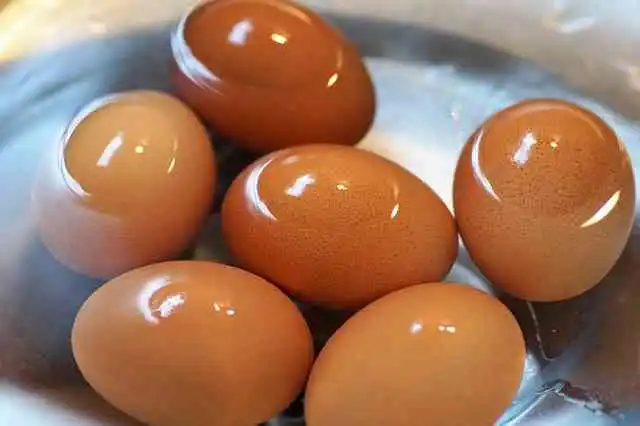 서양조리책003.webp