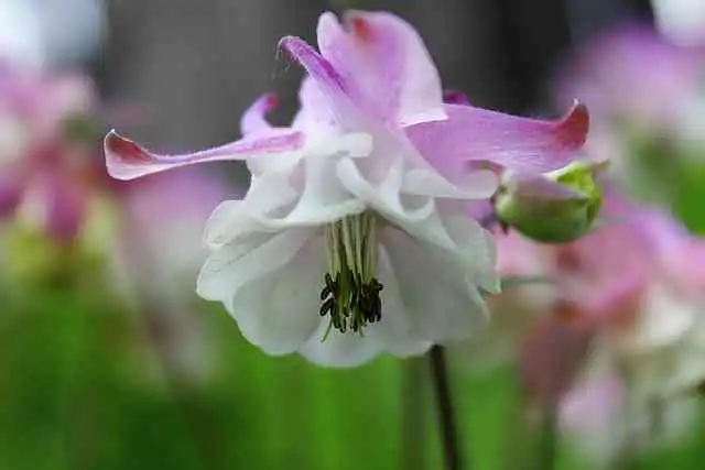 수족구병009.webp