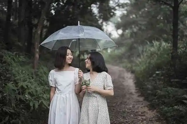 암막자동양우산003.webp