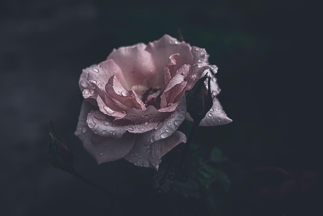 이사-후-소음-관리001.jpg