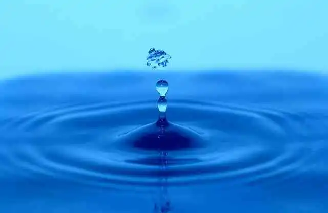 청주종류003.webp