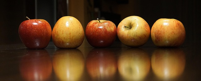 항산화009.jpg