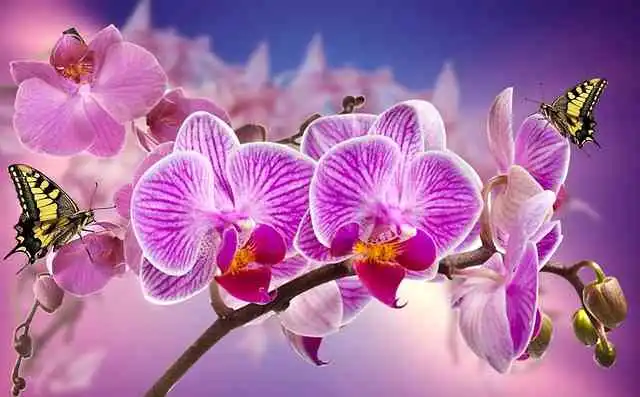 환경호르몬001.webp